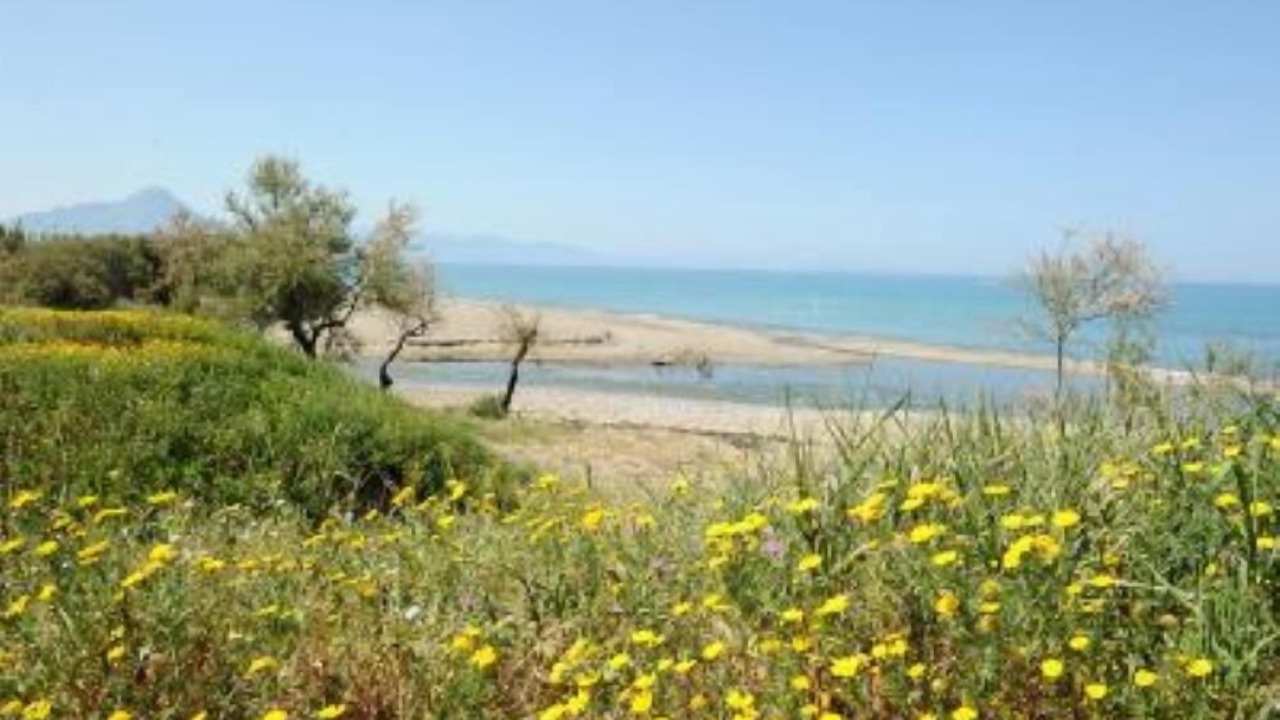 Photo of Others in Piana Calzata