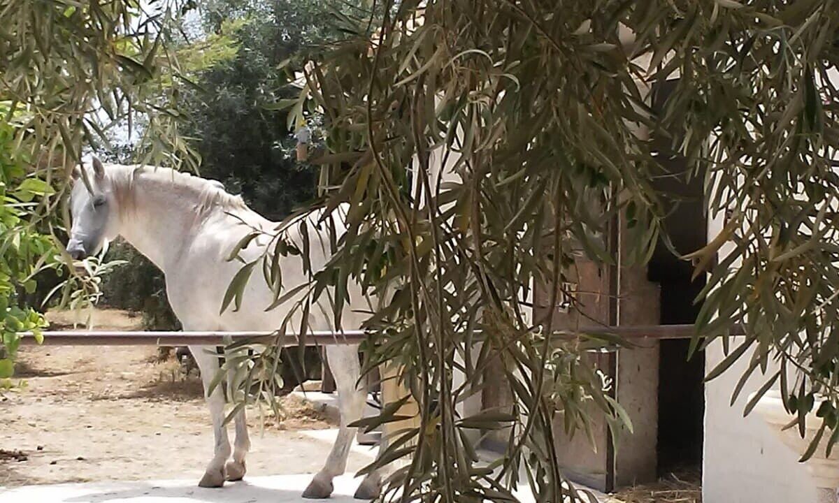 Photo of Outdoor in Avola
