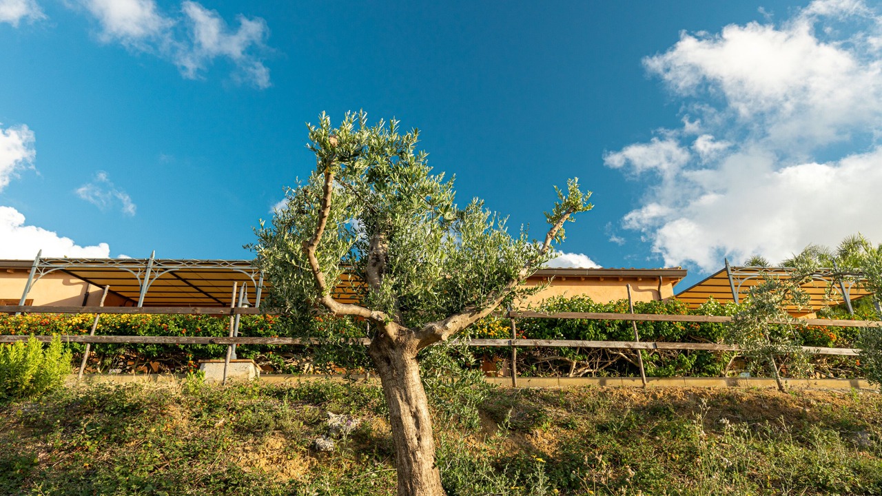 Photo of Outdoor in Campofelice di Roccella