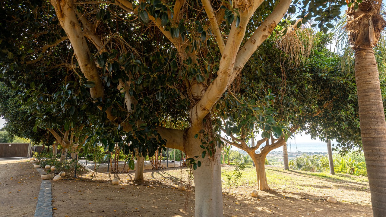 Photo of Outdoor in Campofelice di Roccella