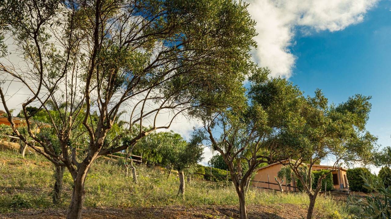 Photo of Outdoor in Campofelice di Roccella