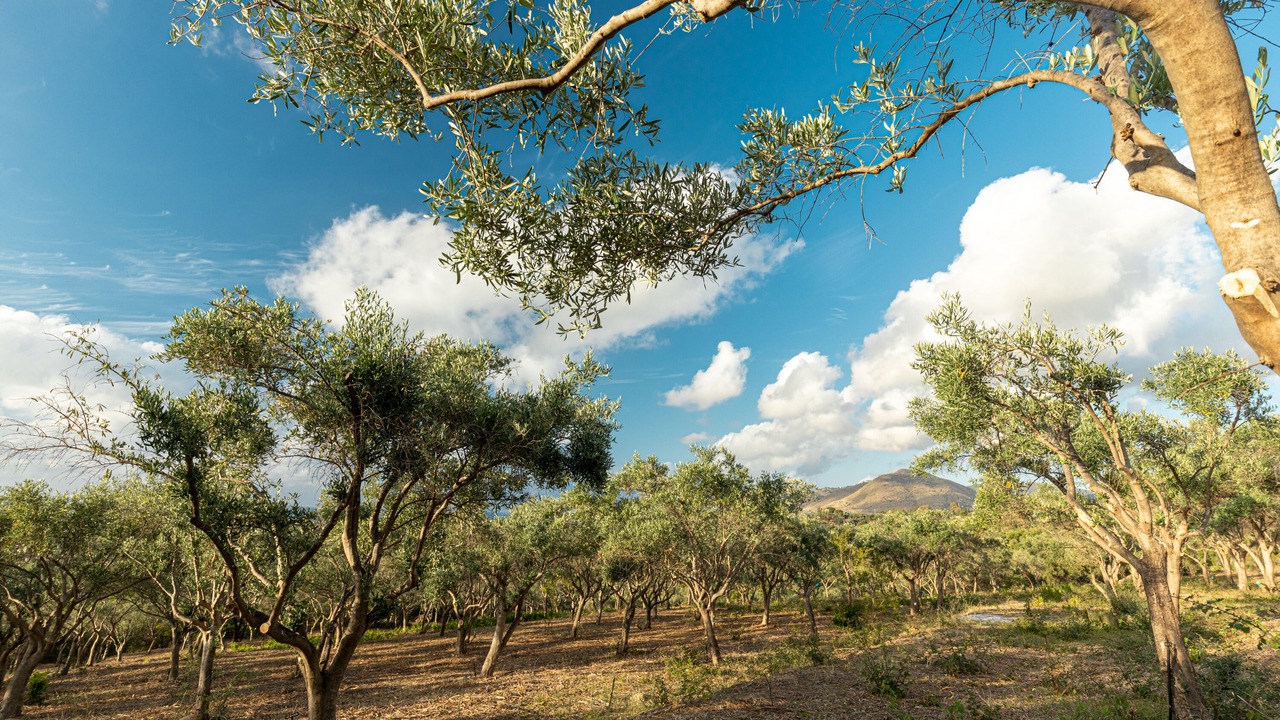 Photo of Outdoor in Campofelice di Roccella