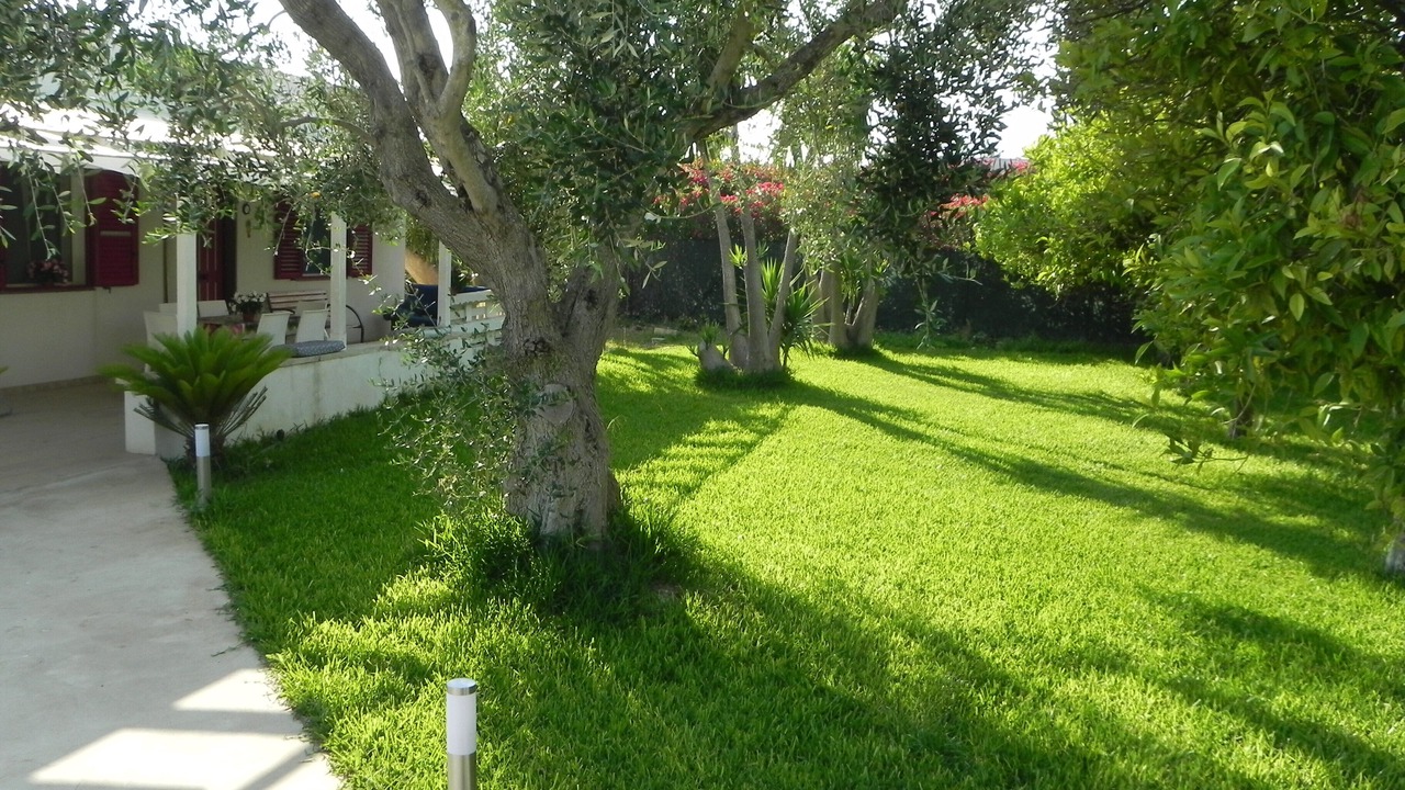 Photo of Outdoor in San Lorenzo