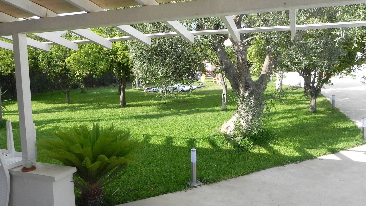 Photo of Outdoor in San Lorenzo