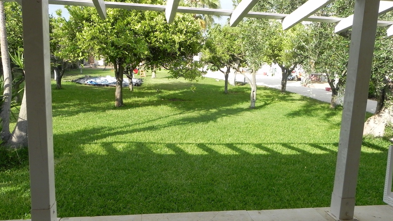 Photo of Outdoor in San Lorenzo