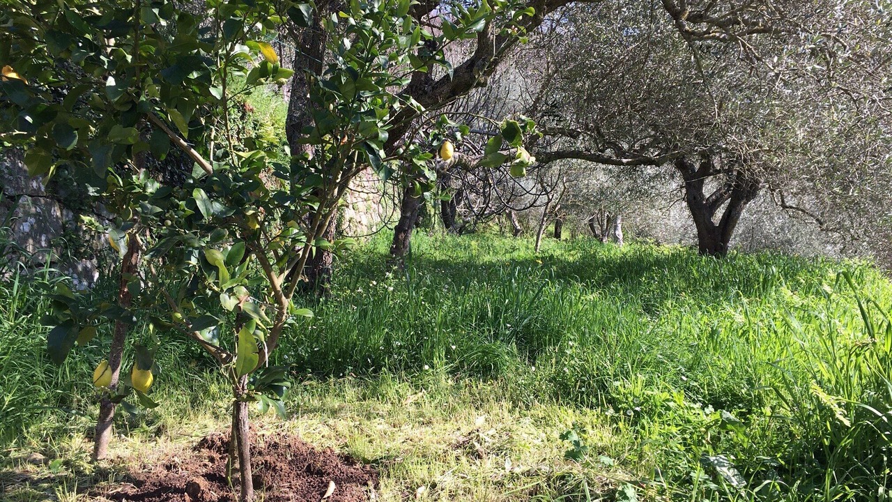 Photo of Outdoor in Castell'Umberto