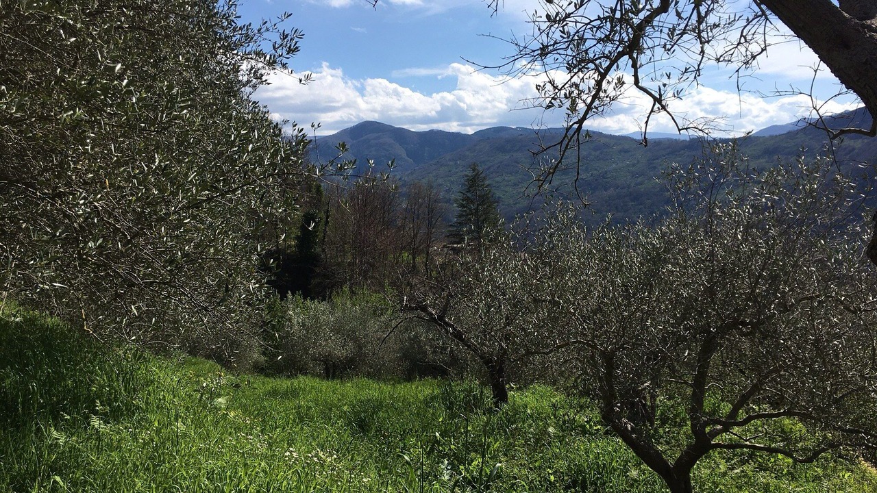 Photo of Outdoor in Castell'Umberto