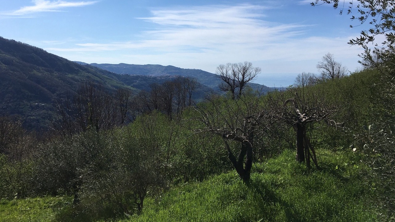 Photo of Outdoor in Castell'Umberto