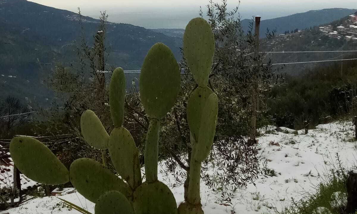 Photo of Outdoor in Castell'Umberto