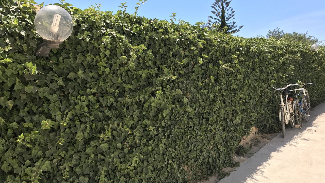 Photo of Outdoor in San Leonardo