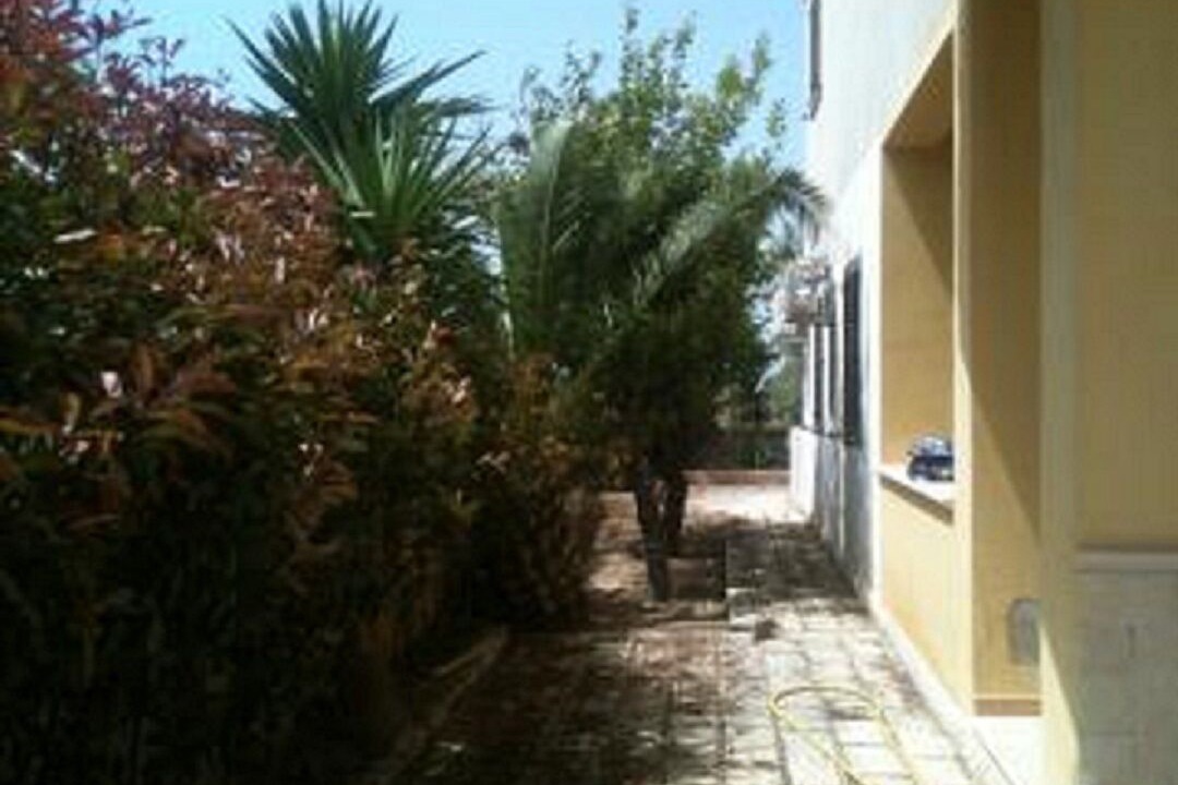 Photo of Outdoor in Sampieri