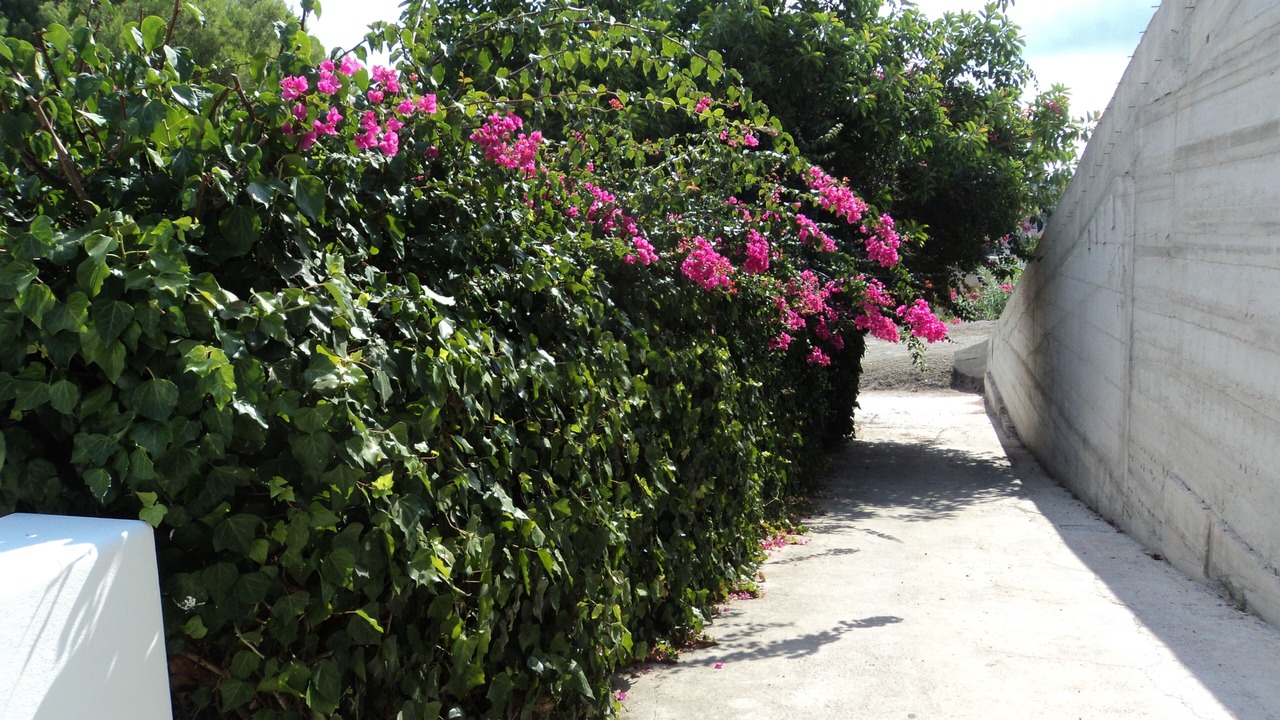 Photo of Outdoor in Contrada Santa Lucia