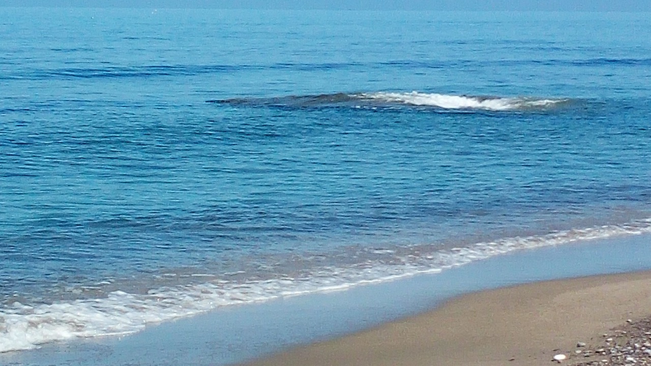 Photo of Others in Trabia