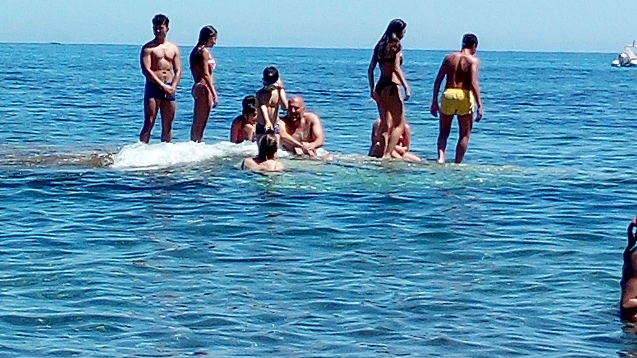 Photo of Others in Trabia