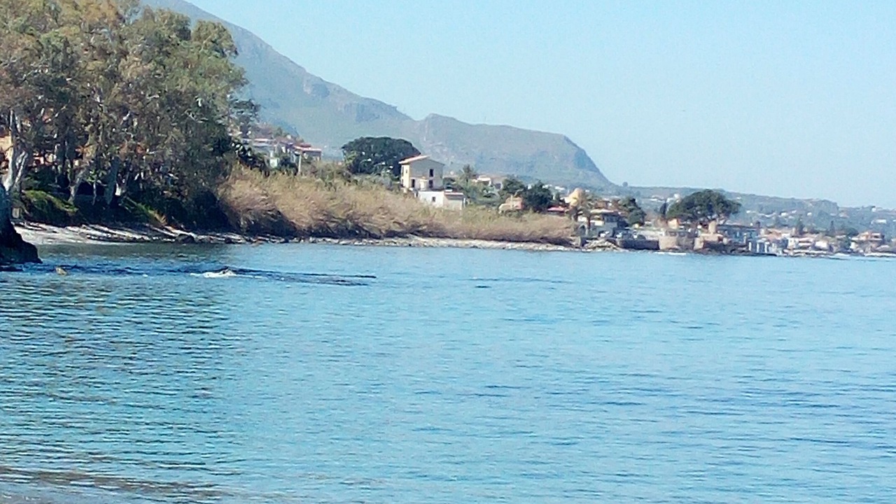 Photo of Others in Trabia