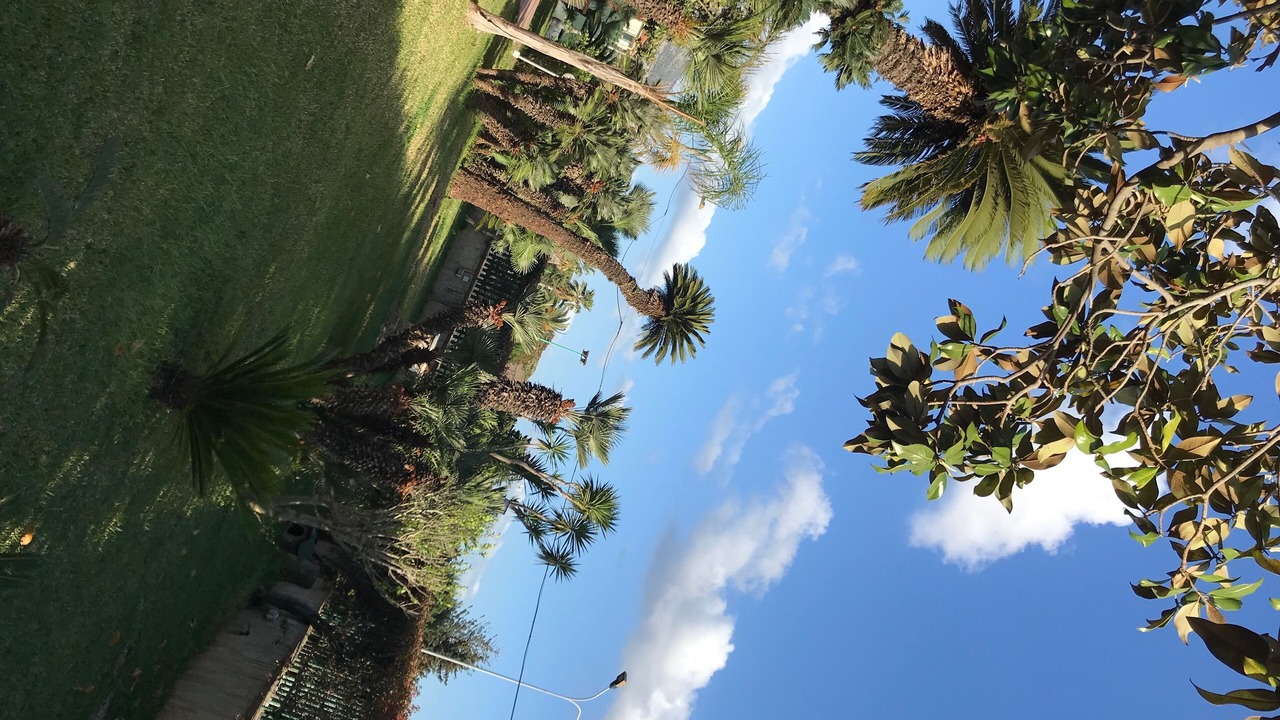 Photo of Outdoor in Palermo
