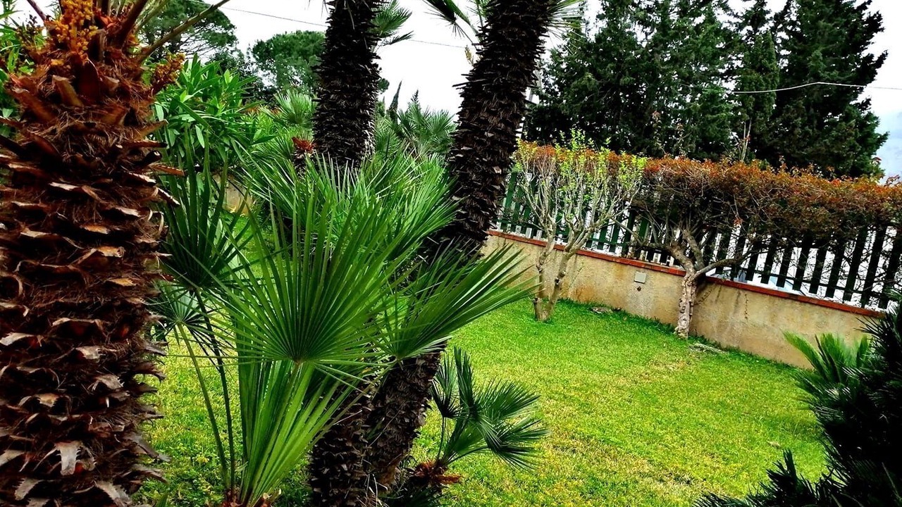 Photo of Outdoor in Palermo