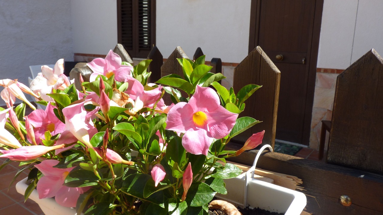 Photo of Outdoor in Palermo