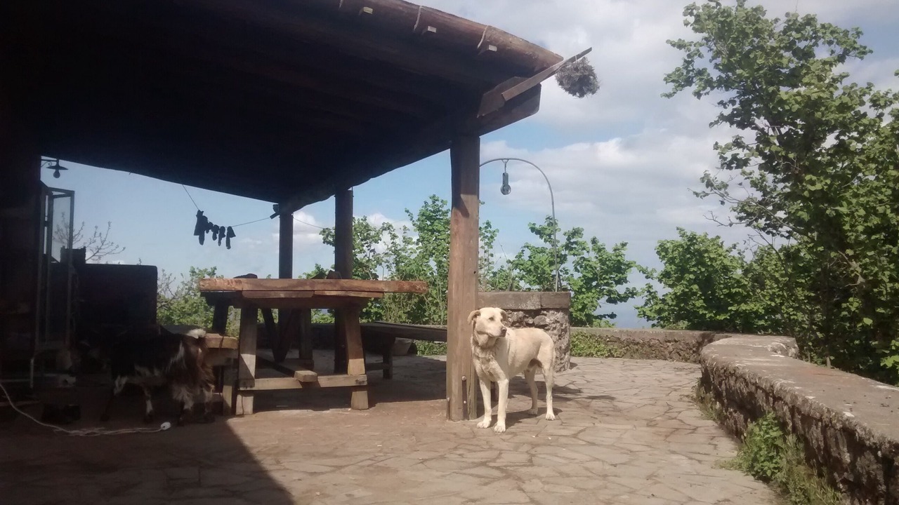 Photo of Outdoor in Sant'Alfio