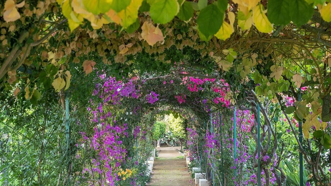 Photo of Outdoor in Marsala
