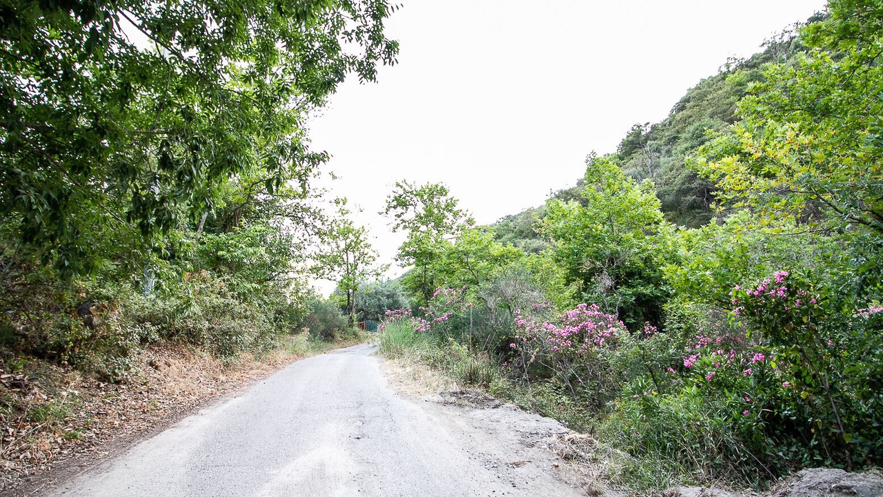 Photo of Outdoor in Motta Camastra