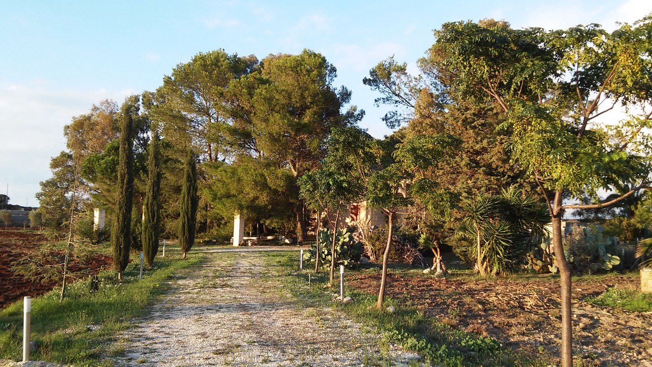 Photo of Outdoor in Ragusa