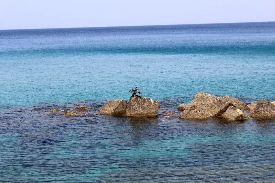 Photo of Others in Pizzo