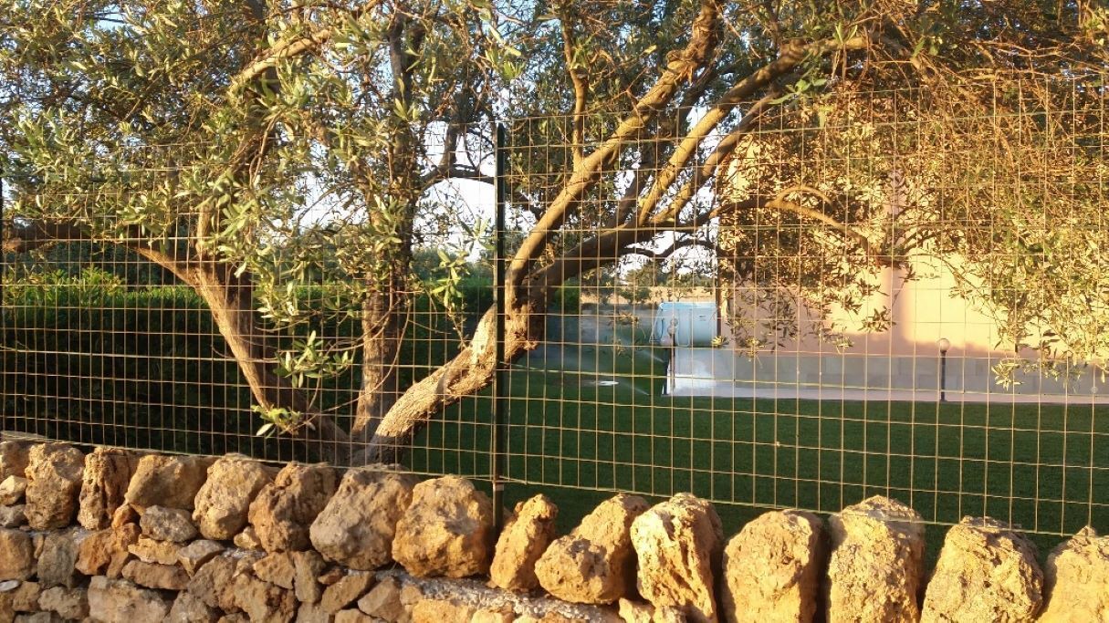 Photo of Outdoor in Noto