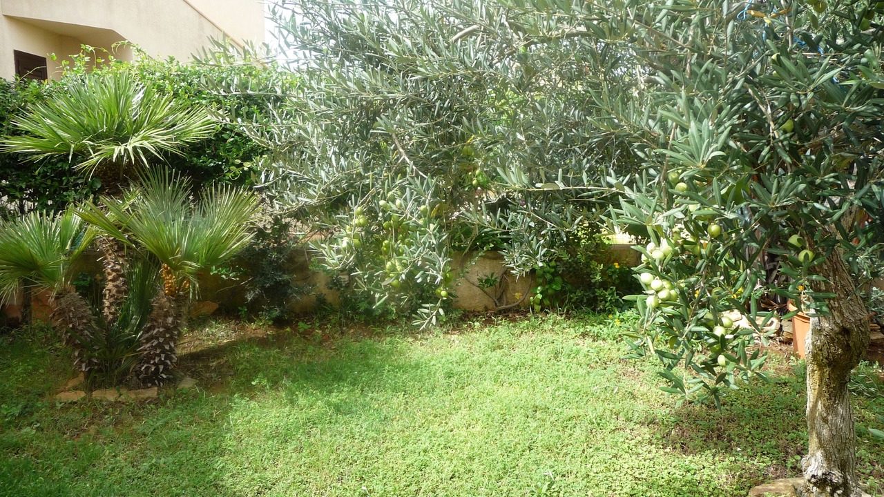 Photo of Outdoor in Tre Fontane