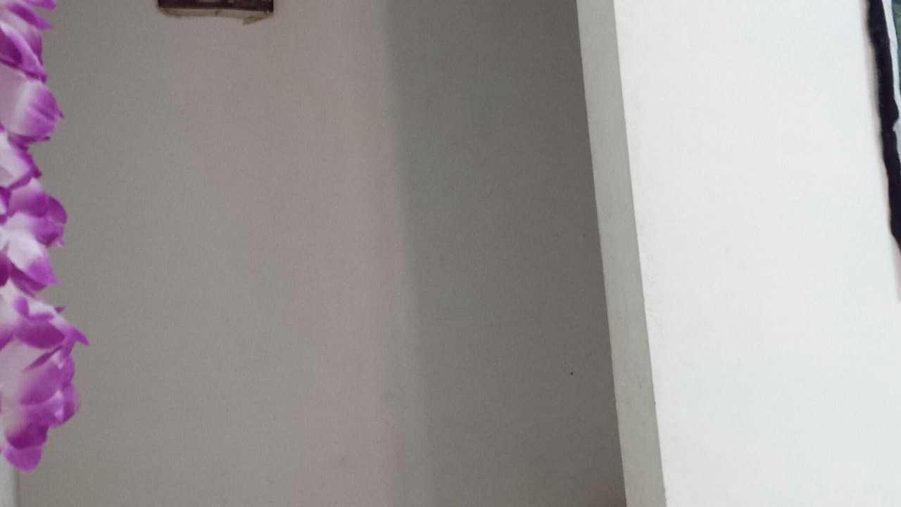 Photo of Others in Cinisi