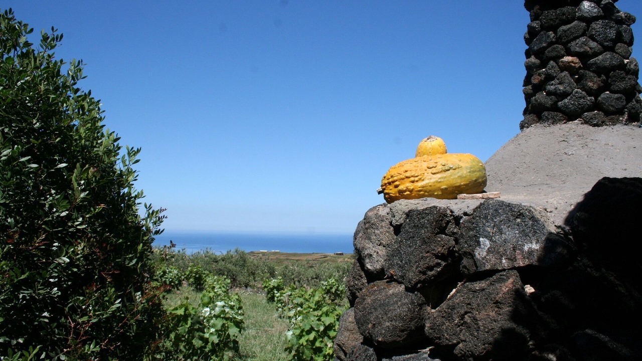 Photo of Others in Kamma