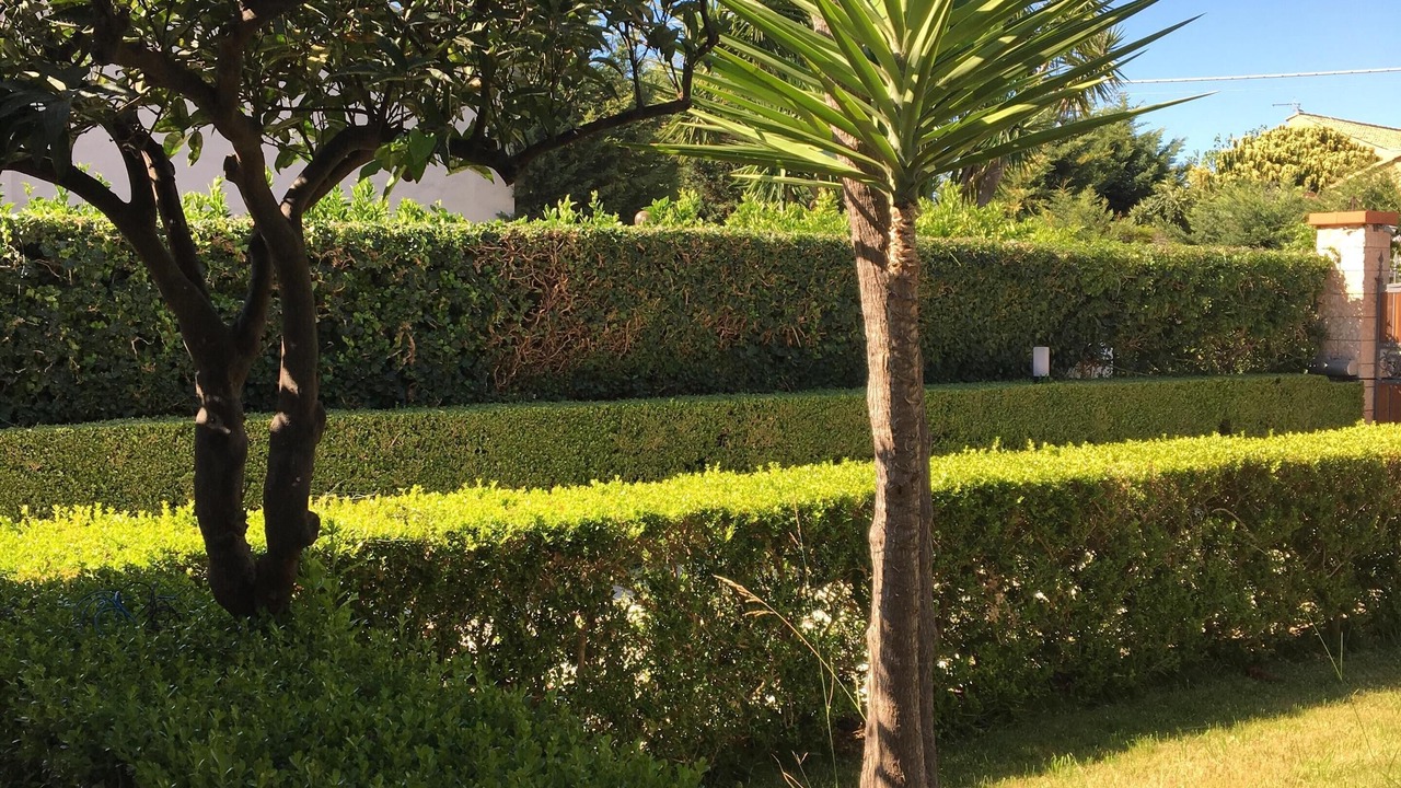 Photo of Outdoor in Piane Vecchie