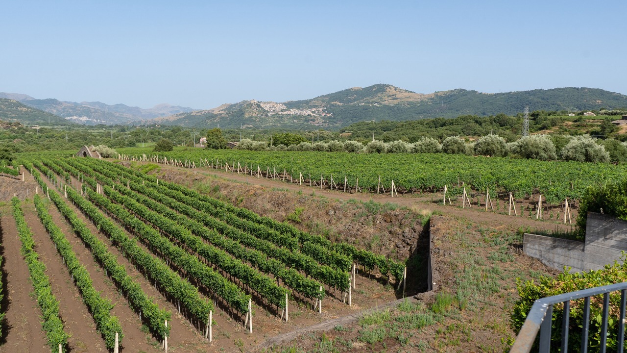 Photo of Others in Castiglione di Sicilia