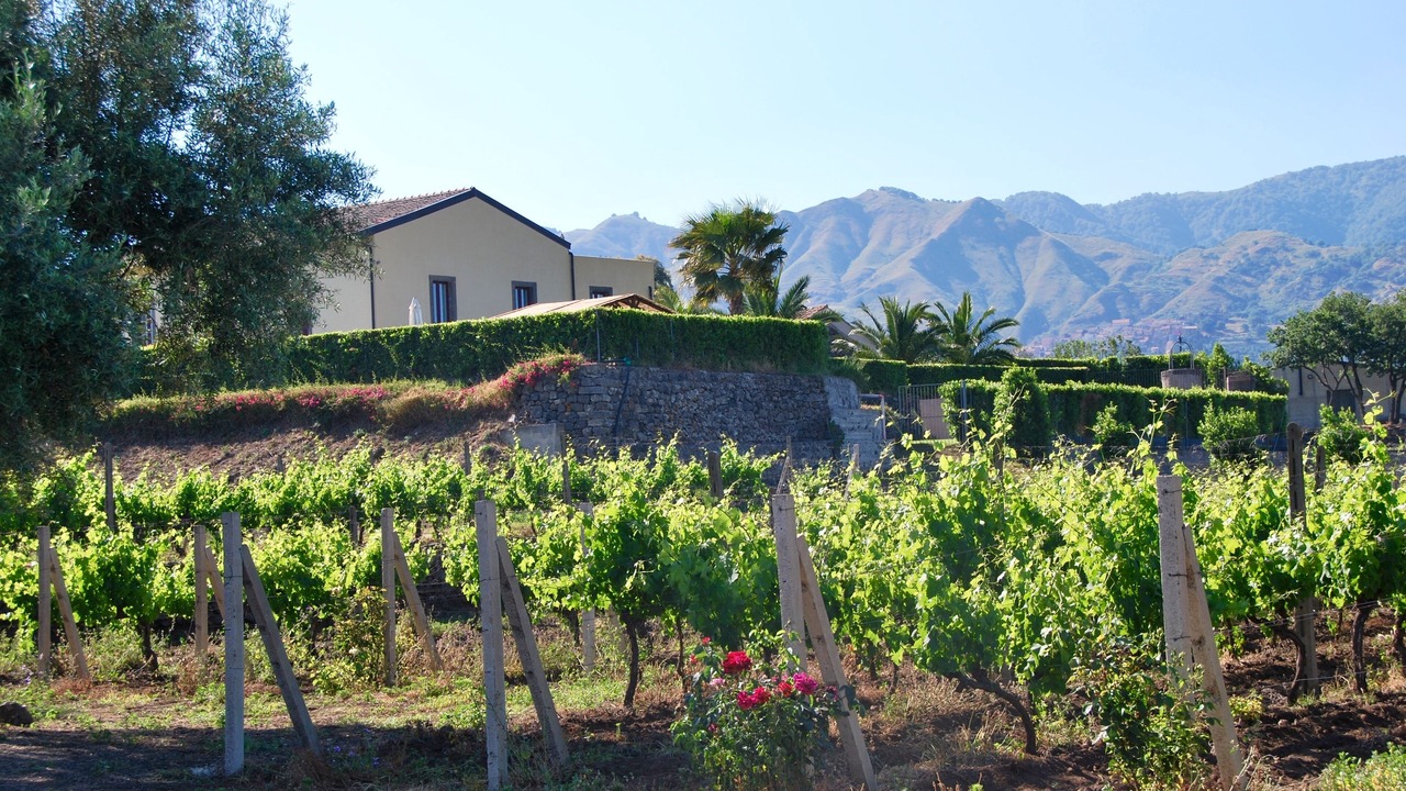 Photo of Others in Castiglione di Sicilia