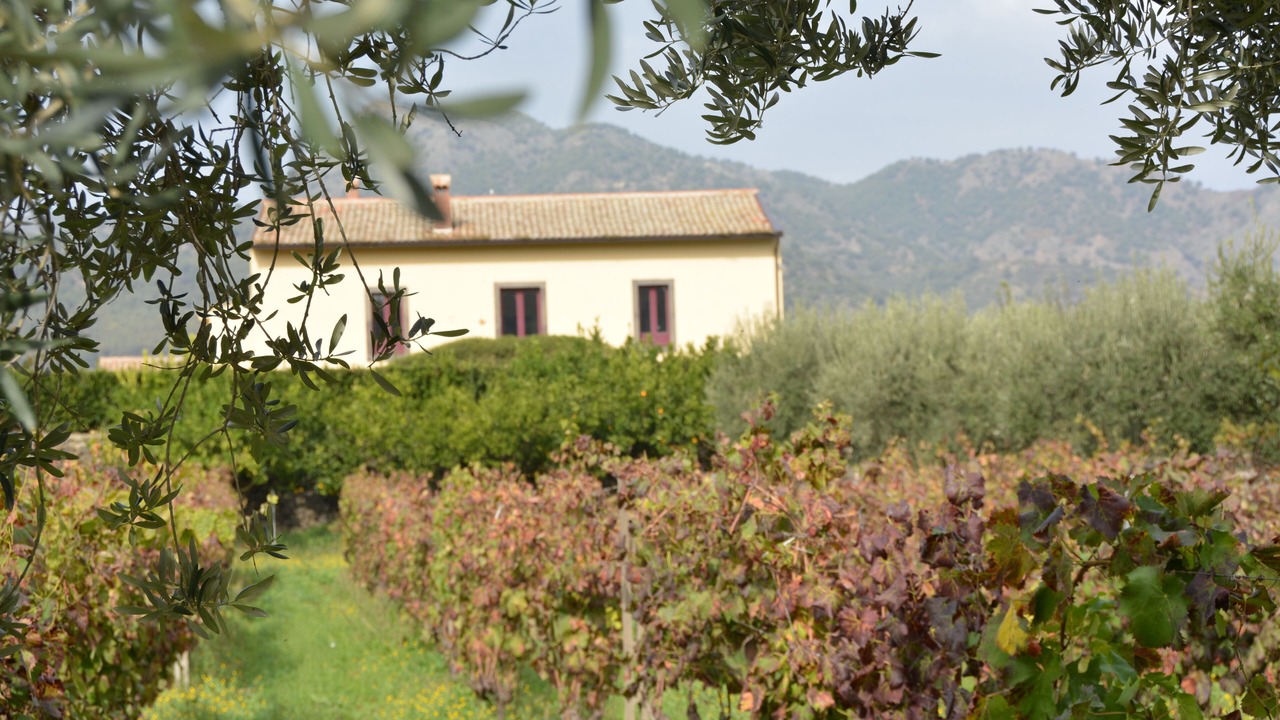 Photo of Outdoor in Castiglione di Sicilia