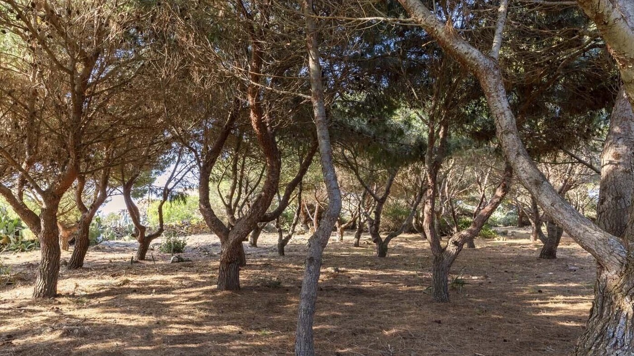 Photo of Outdoor in Favignana