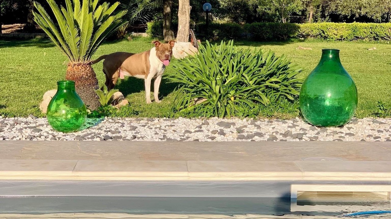 Photo of Outdoor in Avola