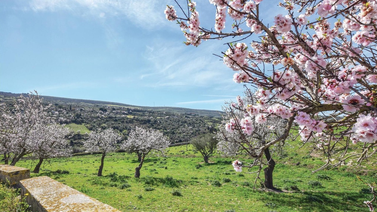 Photo of Others in Ragusa