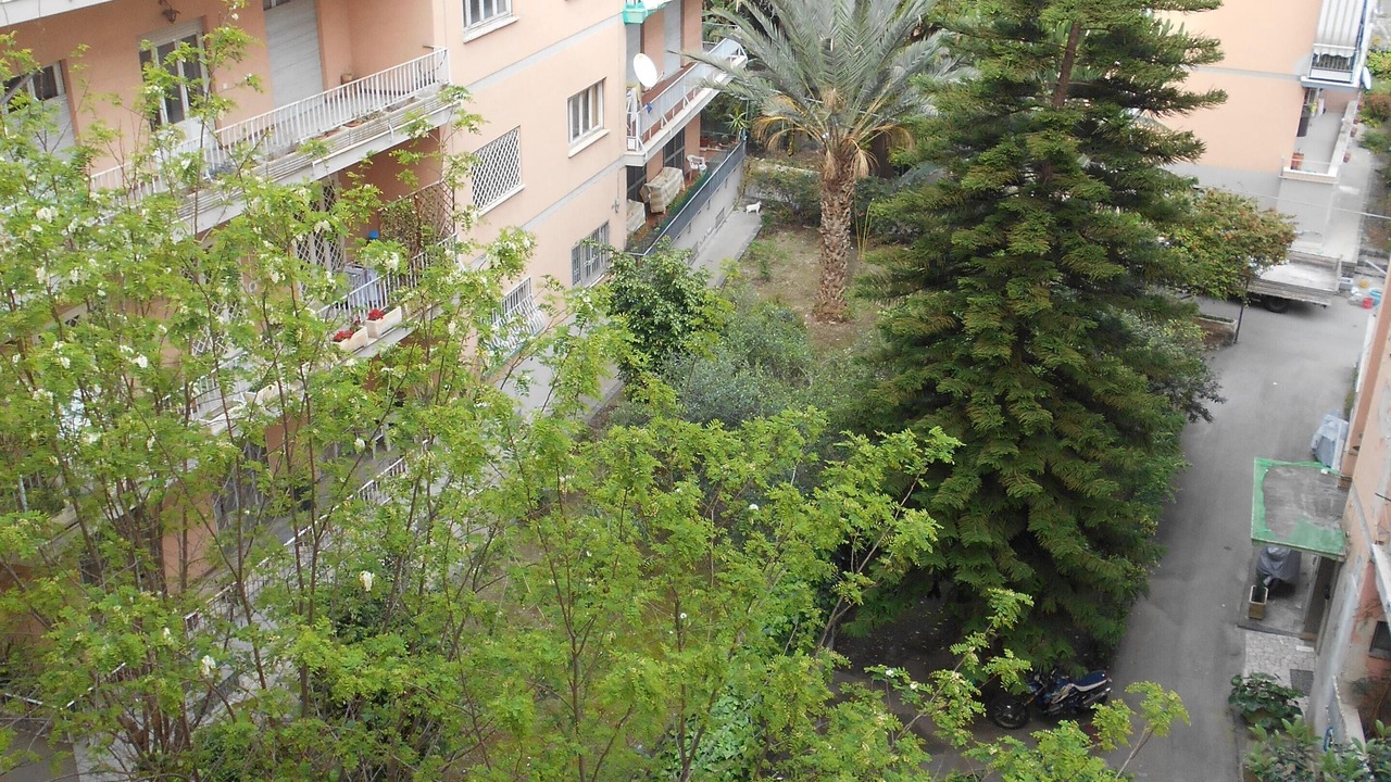 Photo of Outdoor in Borgo-Sanzio