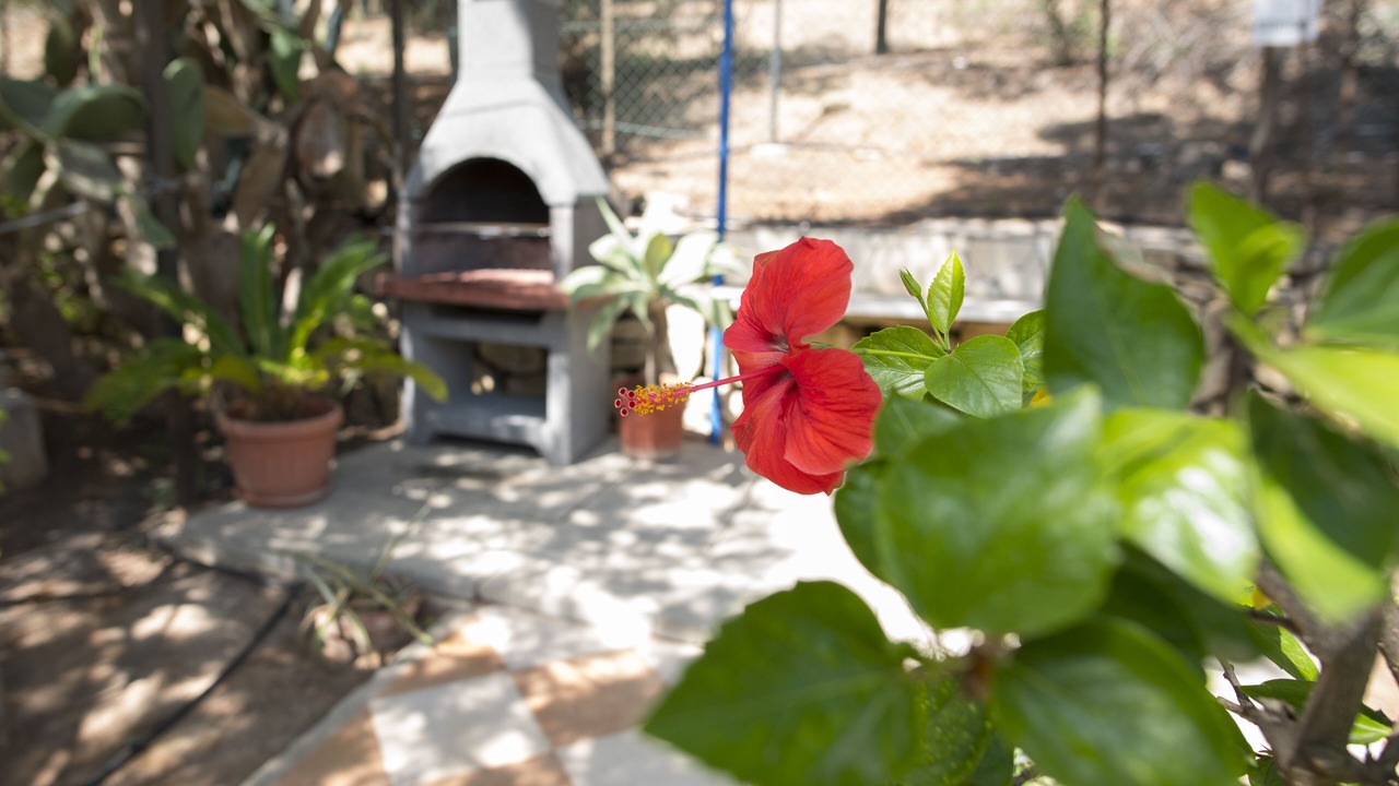 Photo of Outdoor in Sciacca