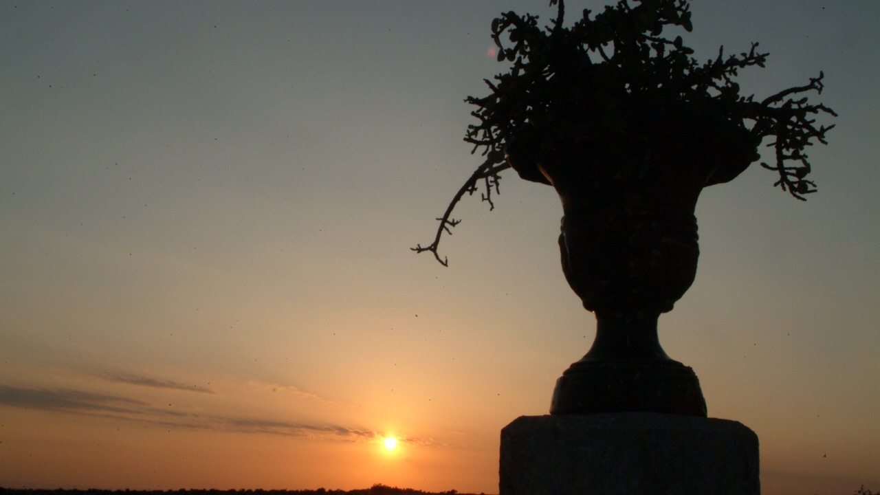 Photo of Others in Ragusa
