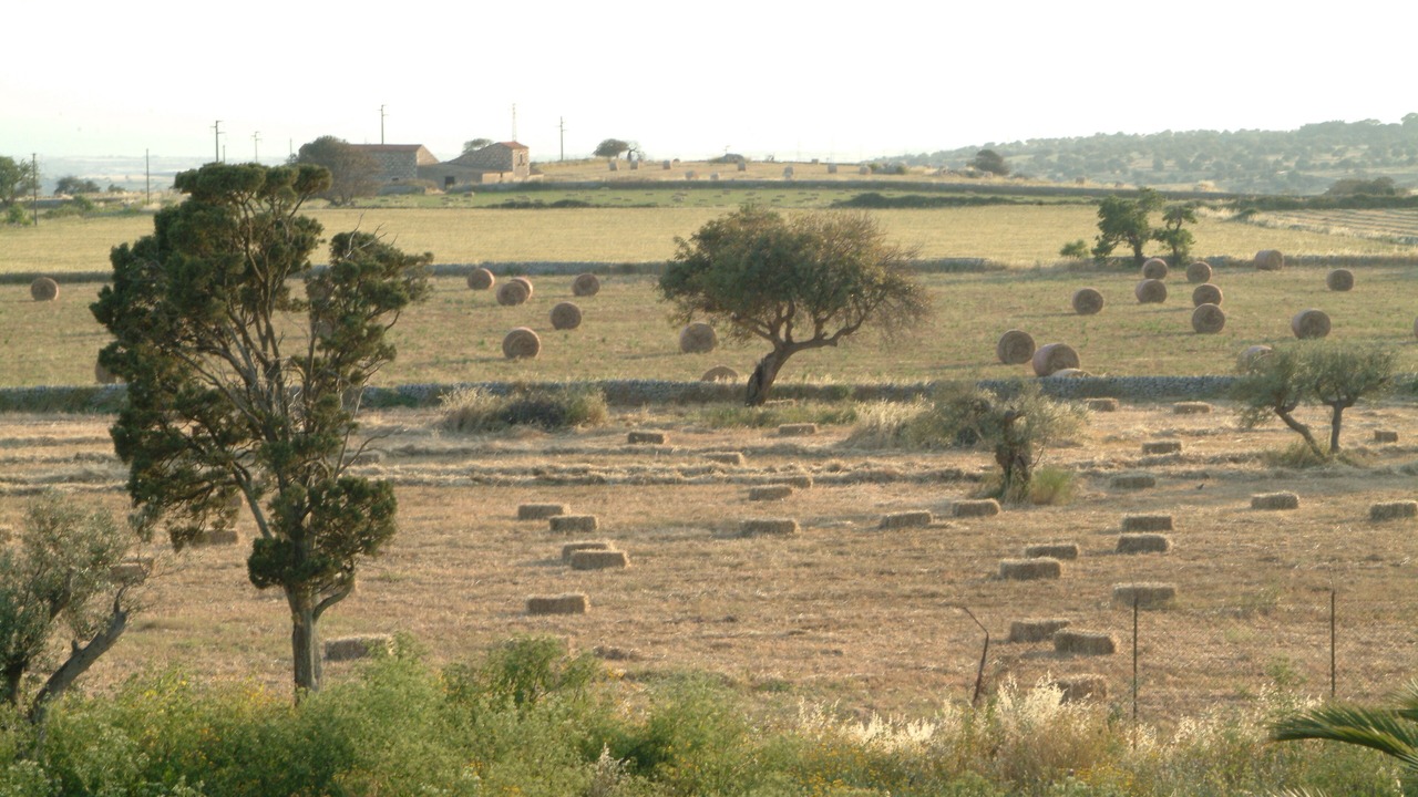 Photo of Outdoor in Ragusa