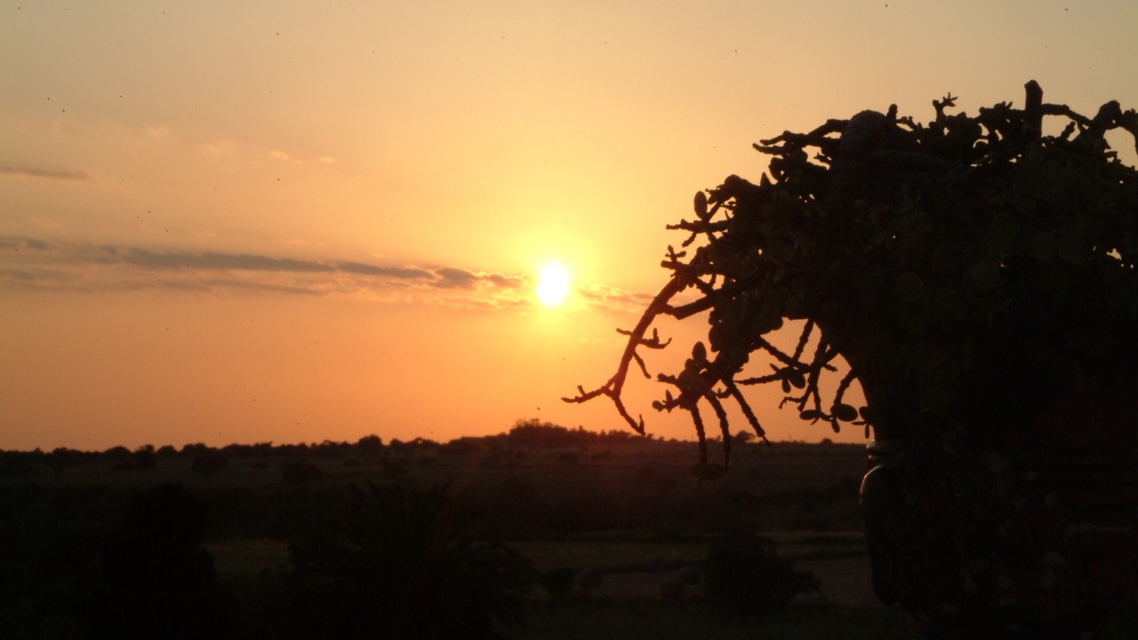 Photo of Outdoor in Ragusa
