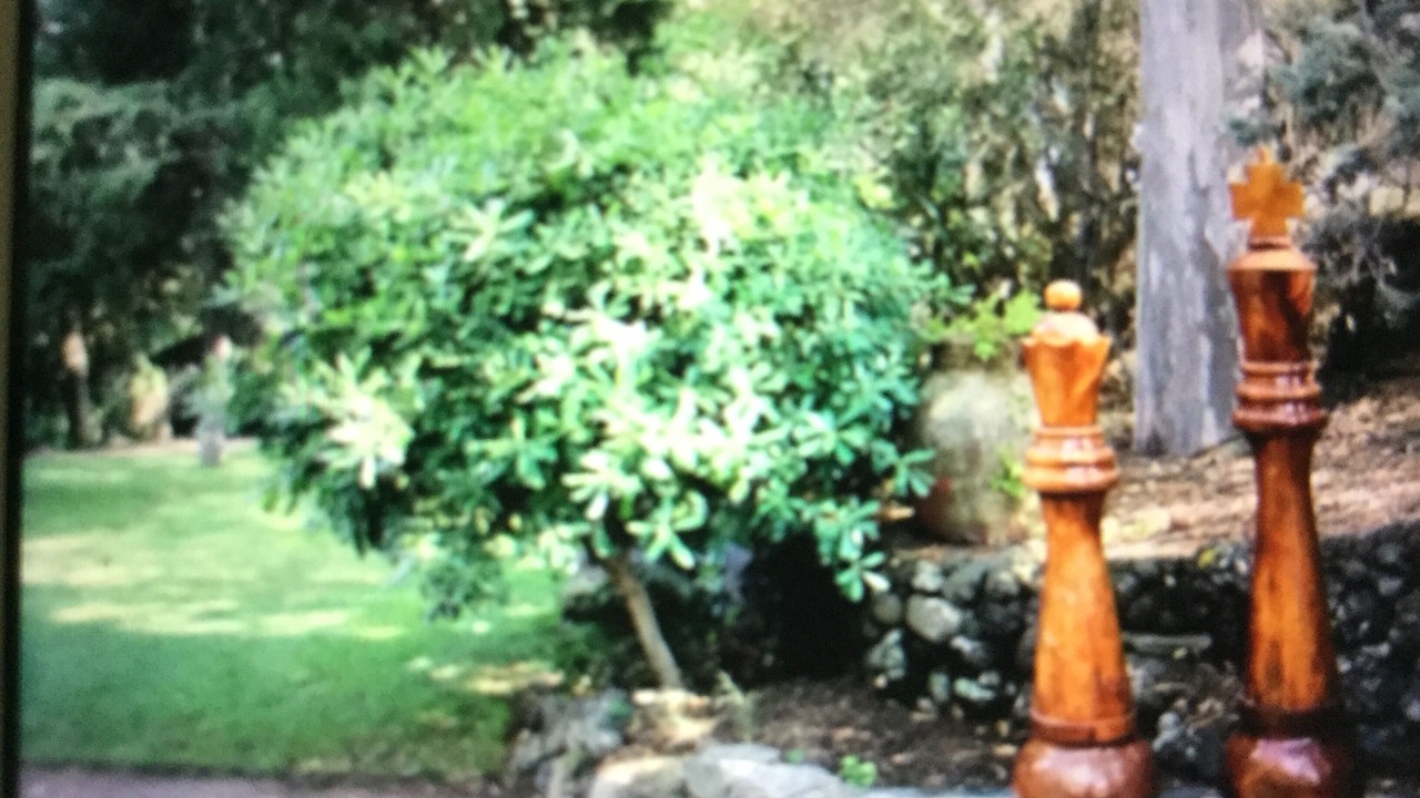 Photo of Outdoor in Mascalucia