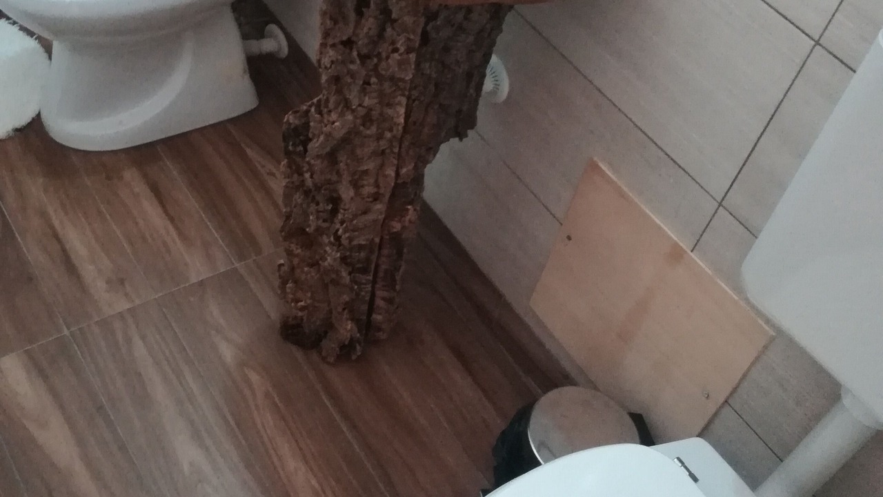 Photo of Bathroom in Kalsa