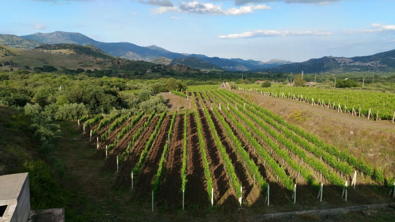 Photo of Others in Castiglione di Sicilia