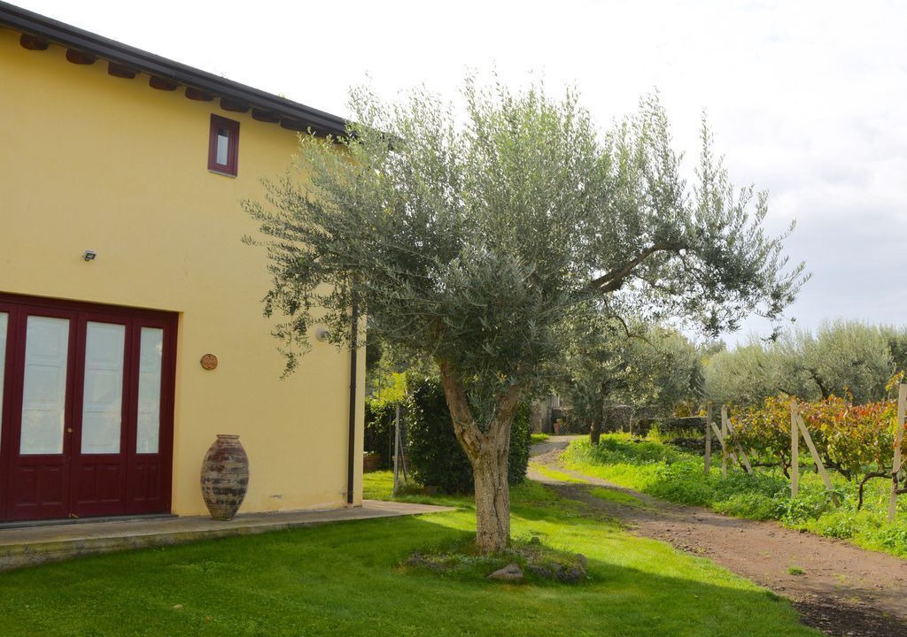 Photo of Others in Castiglione di Sicilia