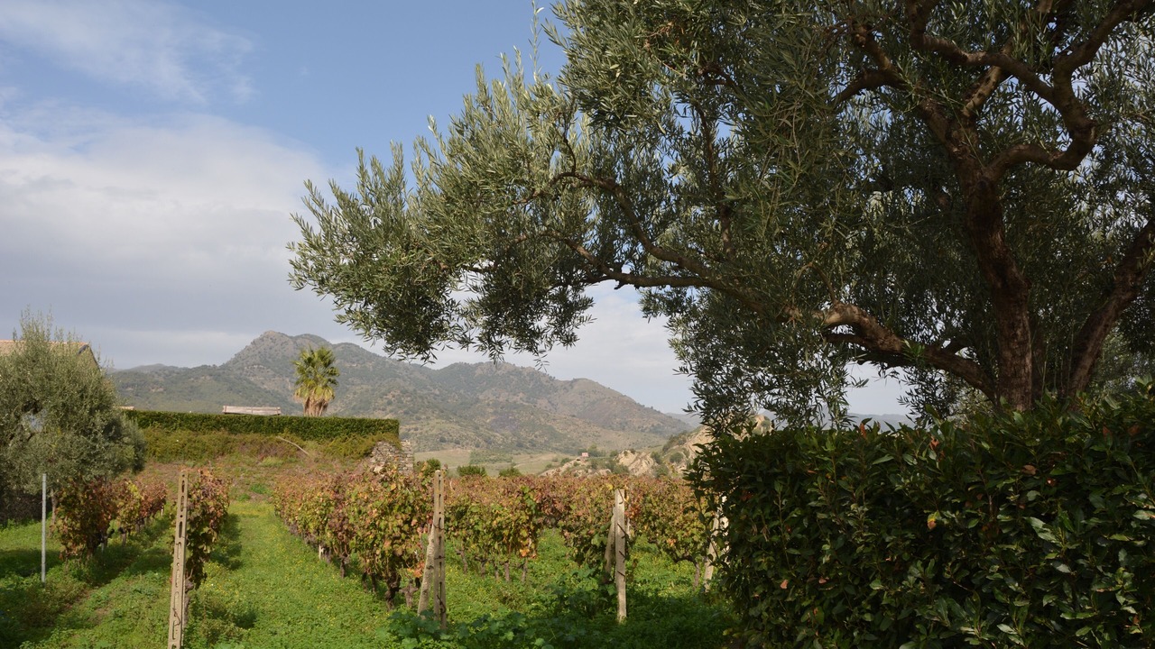 Photo of Outdoor in Castiglione di Sicilia