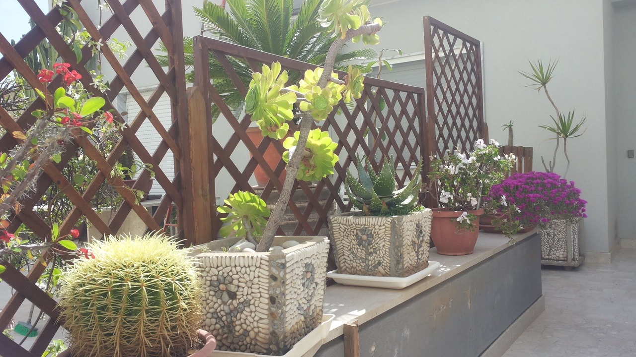 Photo of Outdoor in Casa Santa