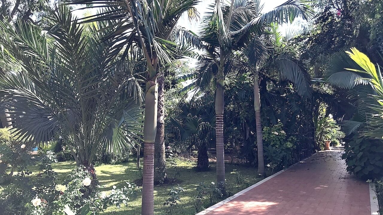 Photo of Outdoor in Marsala